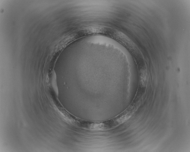 X0000072970410200608041223