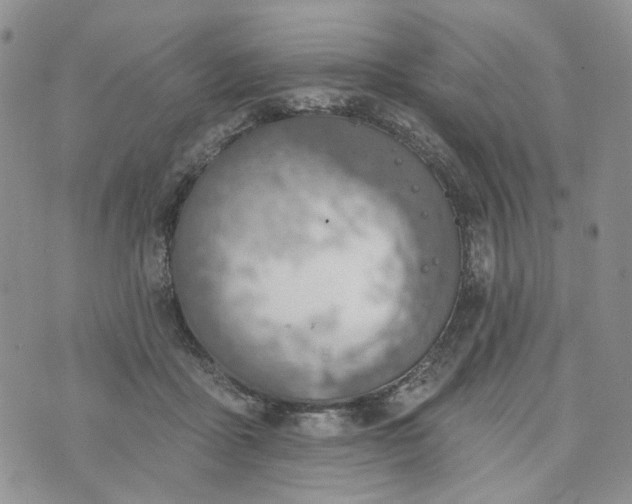 X0000072970411200608041223