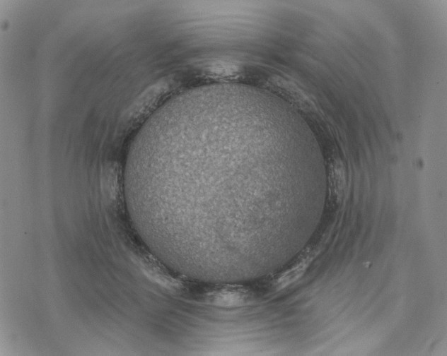 X0000072970412200608041223