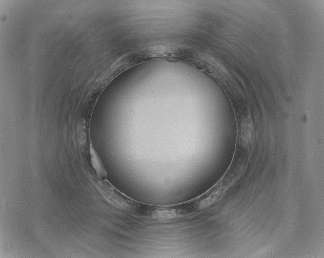 X0000072970413200608041223