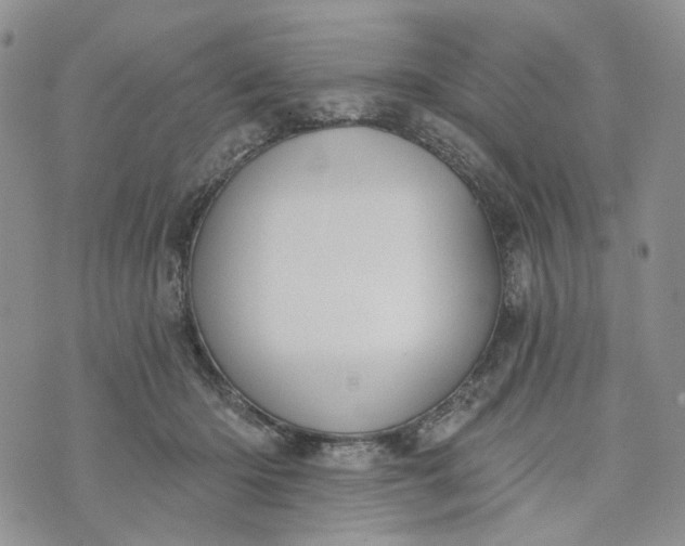 X0000072970414200608041223