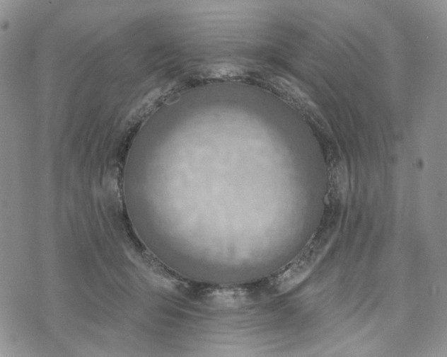 X0000072970415200608041223