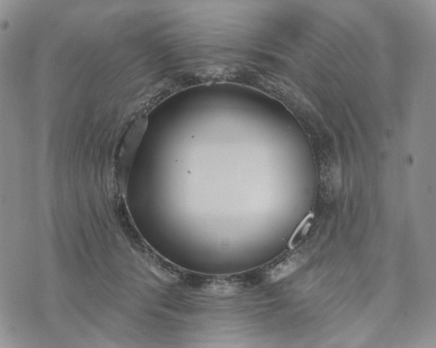 X0000072970416200608041223