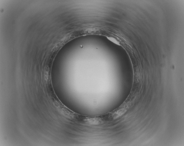 X0000072970417200608041223