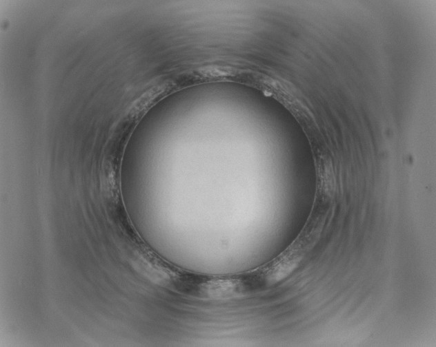 X0000072970418200608041223