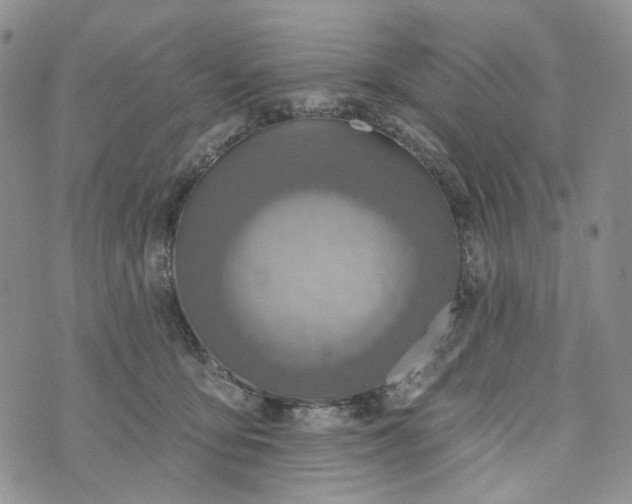 X0000072970419200608041223