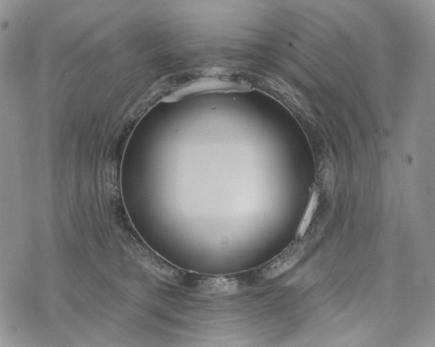 X0000072970421200608041223