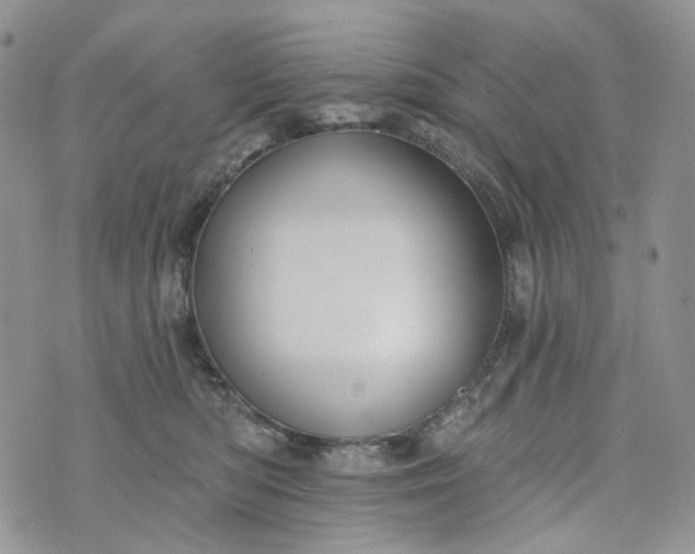 X0000072970422200608041223