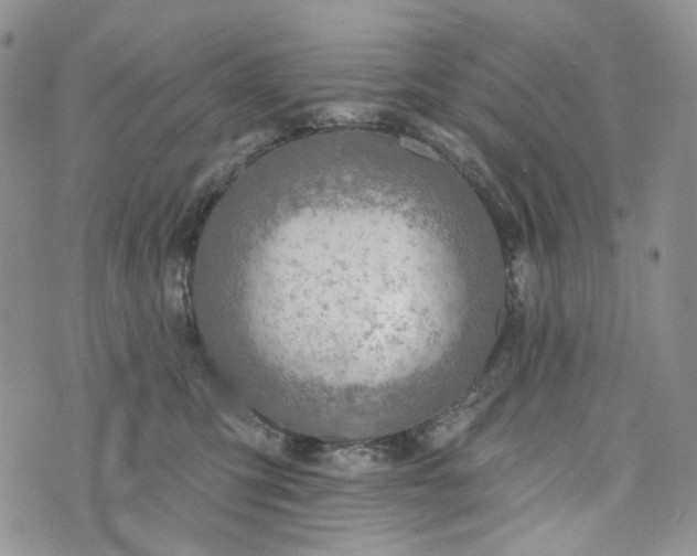 X0000072970423200608041223