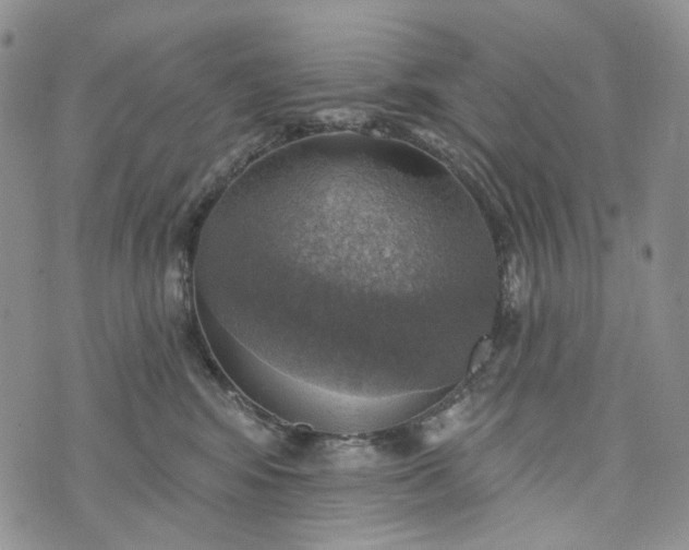 X0000072970424200608041223