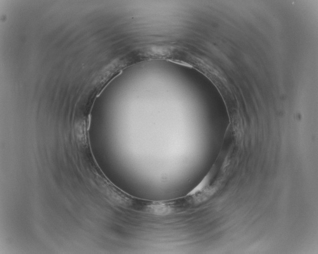 X0000072970425200608041223