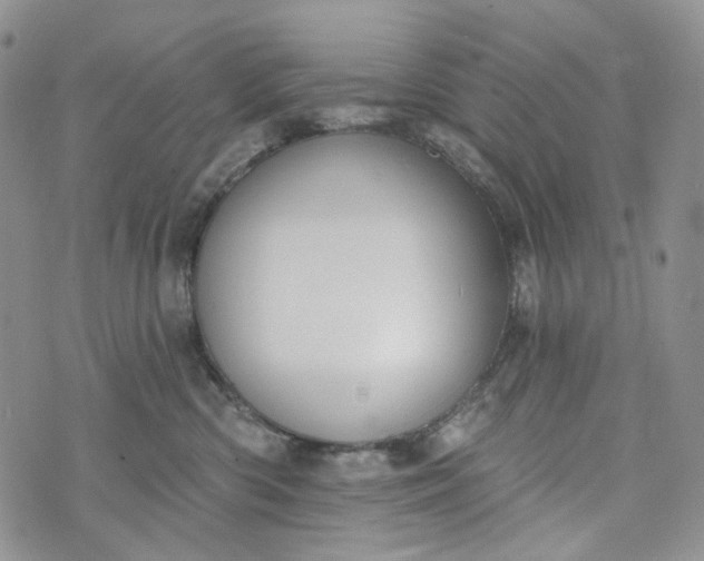 X0000072970426200608041223