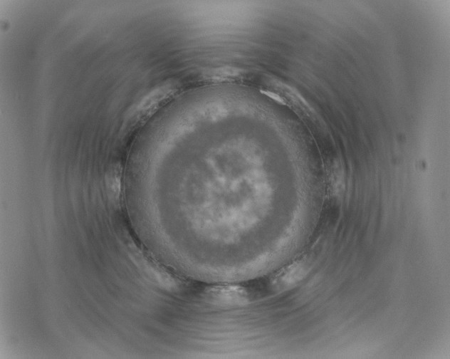 X0000072970427200608041223