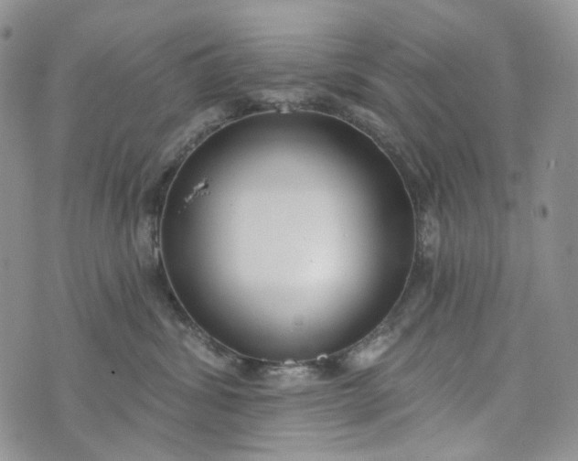 X0000072970428200608041223