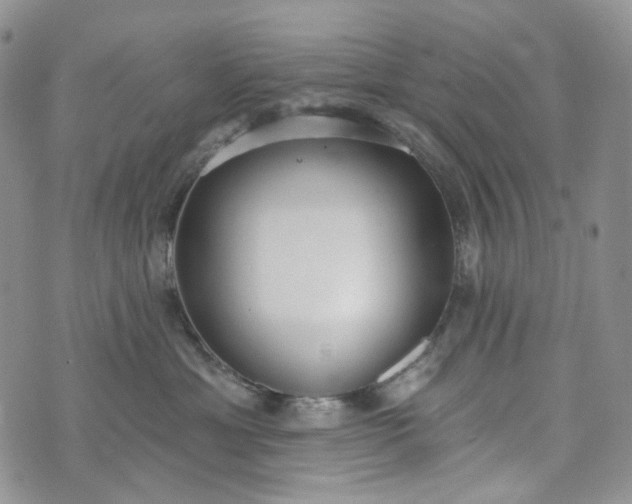 X0000072970429200608041223