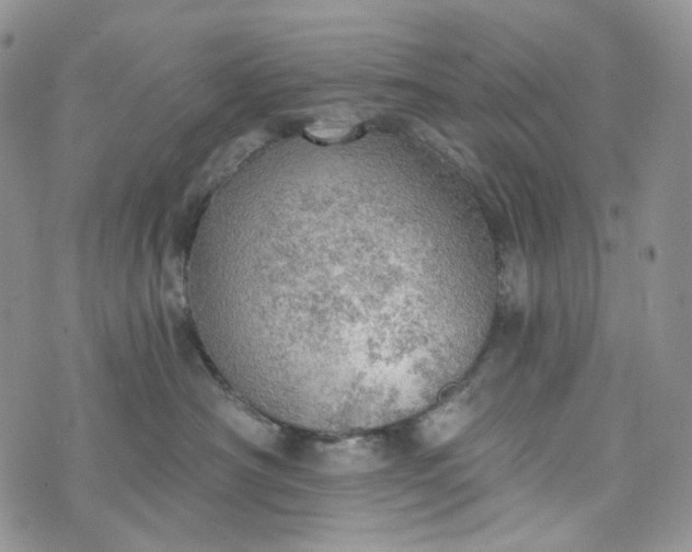 X0000072970430200608041223