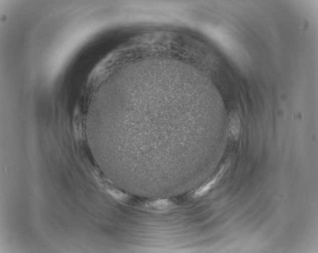 X0000072970431200608041223