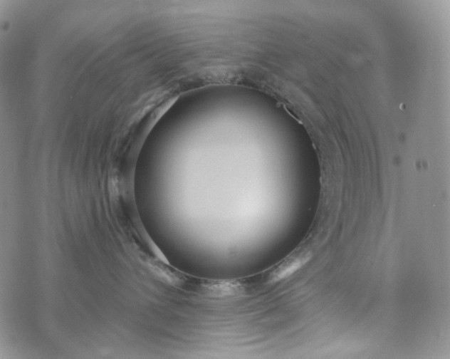 X0000072970432200608041223