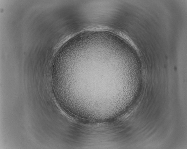 X0000072970433200608041222