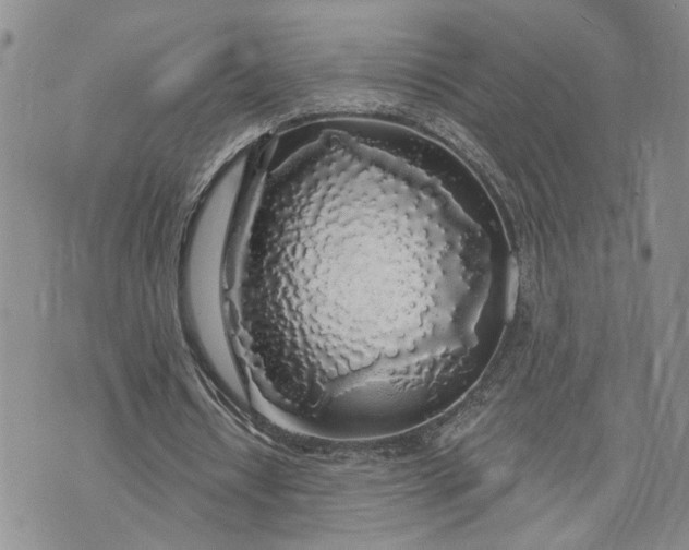 X0000072970434200608041222