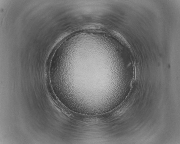 X0000072970435200608041222