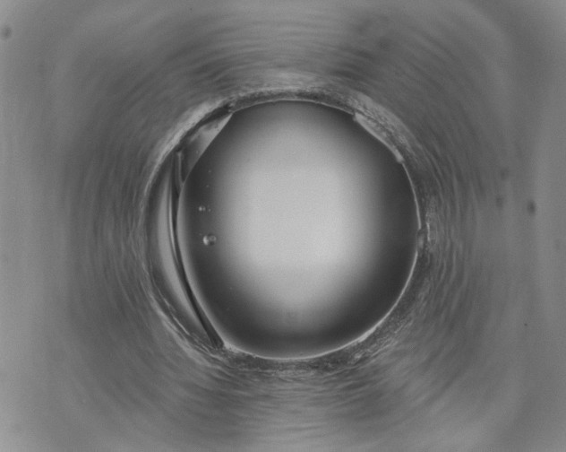 X0000072970436200608041222