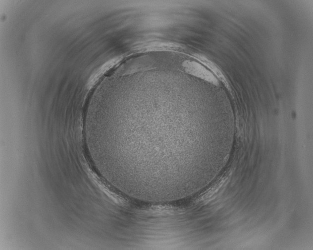 X0000072970437200608041222