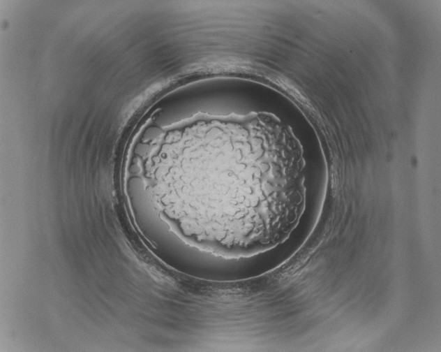 X0000072970438200608041222