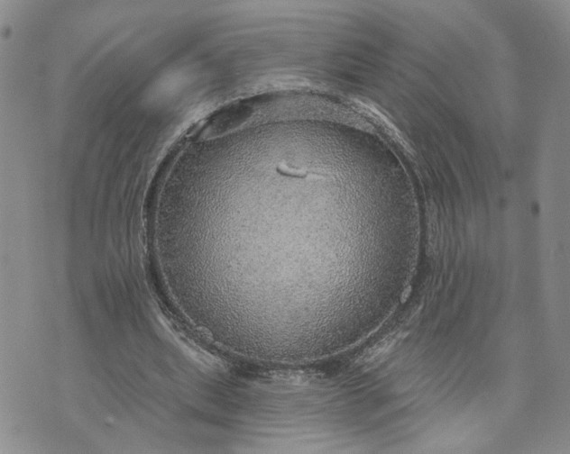 X0000072970439200608041222