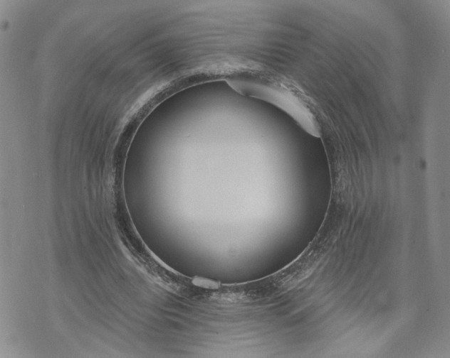 X0000072970440200608041222