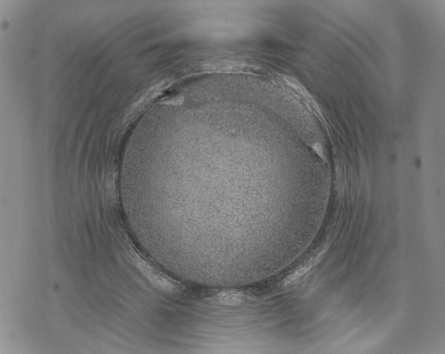 X0000072970441200608041222