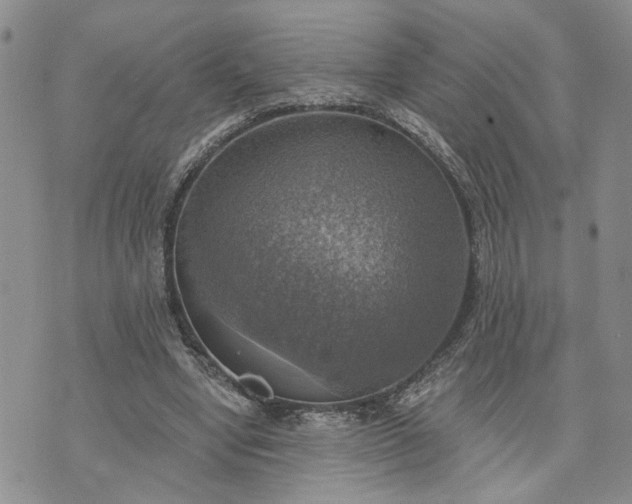 X0000072970442200608041222