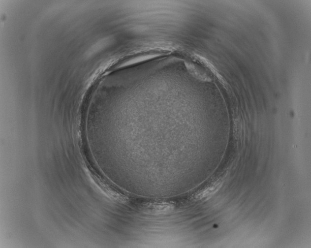 X0000072970443200608041222