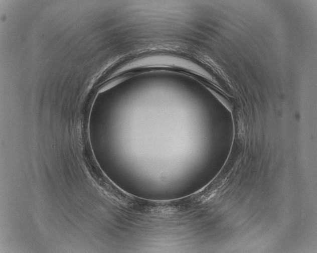 X0000072970444200608041222