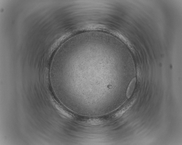 X0000072970445200608041222