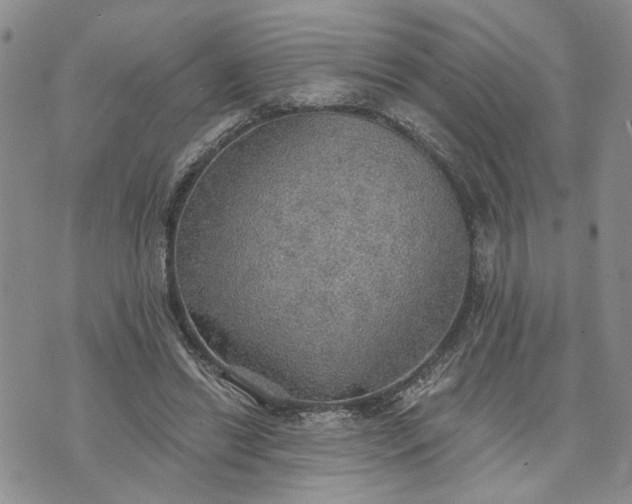 X0000072970446200608041222