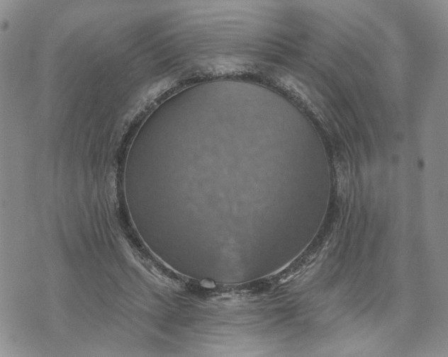 X0000072970447200608041222