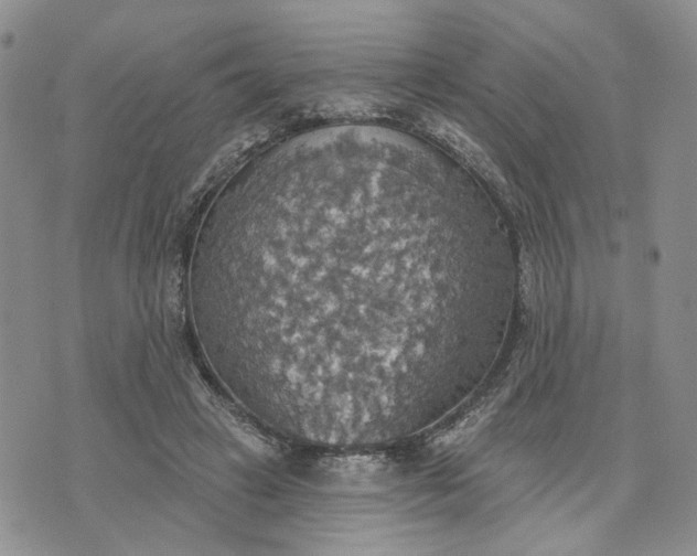 X0000072970449200608041222