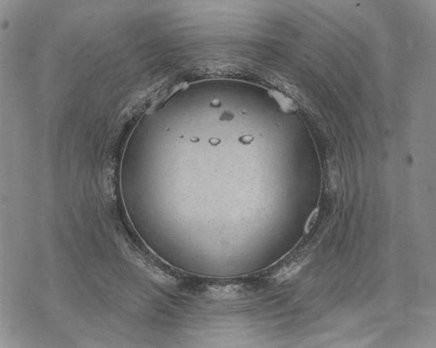 X0000072970450200608041222