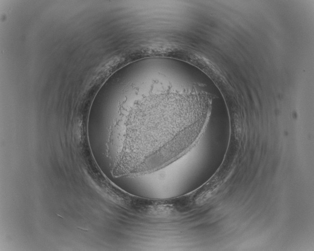 X0000072970451200608041222