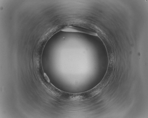 X0000072970452200608041222