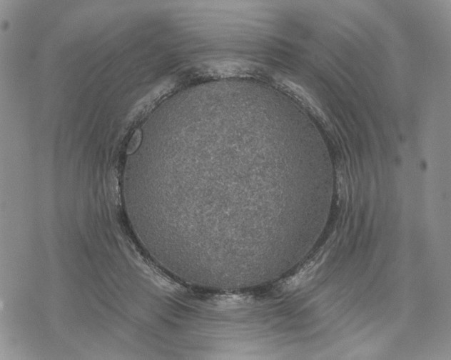 X0000072970453200608041222