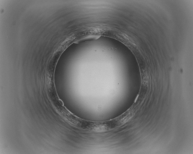 X0000072970456200608041222