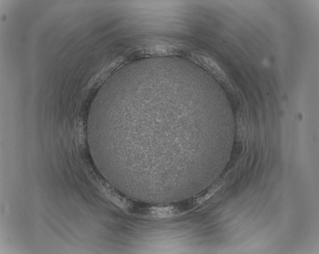 X0000072970457200608041222