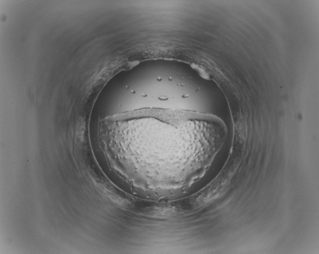 X0000072970458200608041222