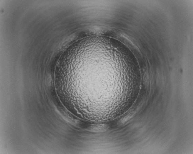 X0000072970459200608041222