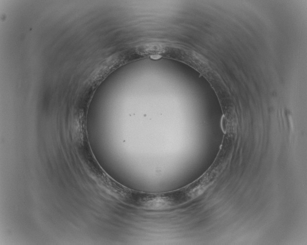 X0000072970460200608041222