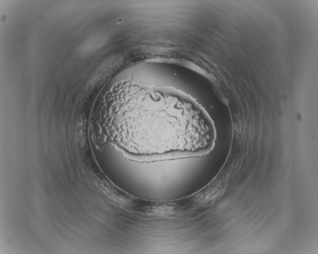 X0000072970462200608041222