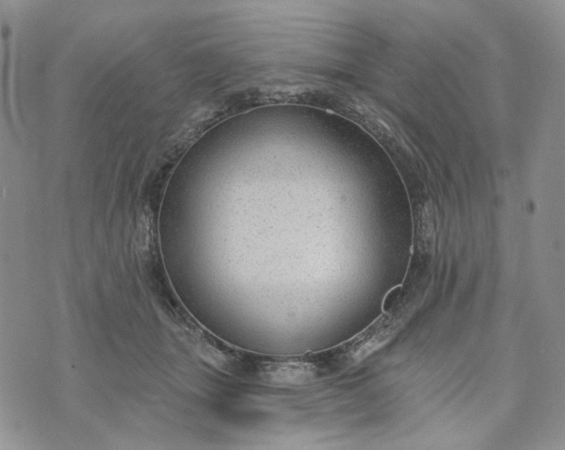 X0000072970463200608041222