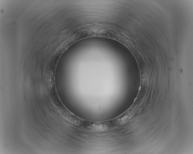 X0000072970464200608041222